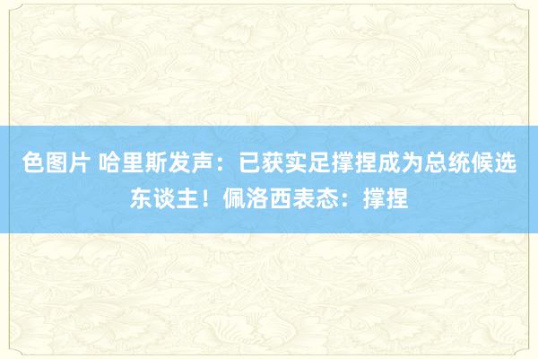 色图片 哈里斯发声:已获实足撑捏成为总统候选东谈主!佩洛西表态:撑捏