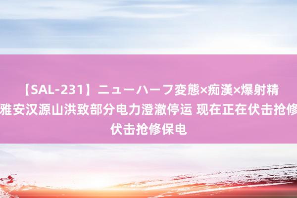 【SAL-231】ニューハーフ変態×痴漢×爆射精SEX 雅安汉源山洪致部分电力澄澈停运 现在正在伏击抢修保电