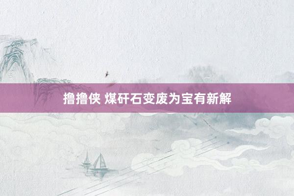 撸撸侠 煤矸石变废为宝有新解