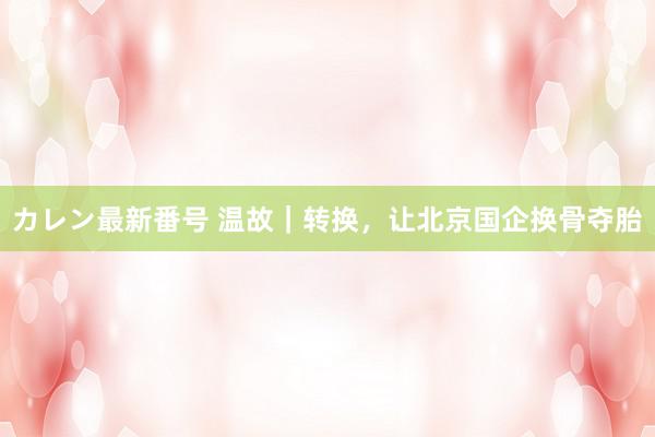 カレン最新番号 温故｜转换，让北京国企换骨夺胎