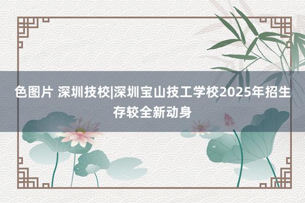 色图片 深圳技校|深圳宝山技工学校2025年招生存较全新动身