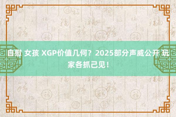 自慰 女孩 XGP价值几何？2025部分声威公开 玩家各抓己见！