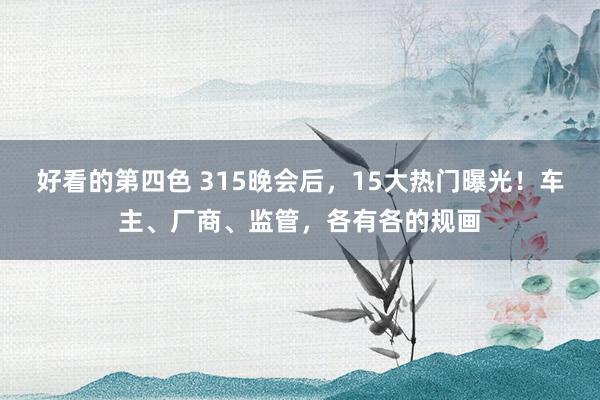 好看的第四色 315晚会后，15大热门曝光！车主、厂商、监管，各有各的规画