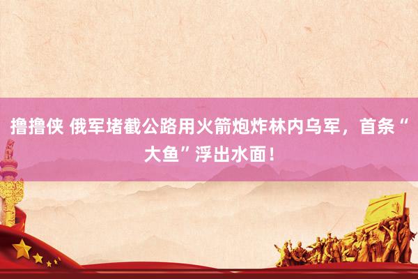 撸撸侠 俄军堵截公路用火箭炮炸林内乌军，首条“大鱼”浮出水面！