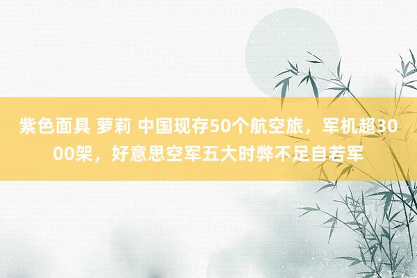 紫色面具 萝莉 中国现存50个航空旅，军机超3000架，好意思空军五大时弊不足自若军