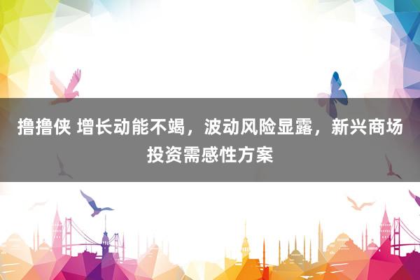 撸撸侠 增长动能不竭，波动风险显露，新兴商场投资需感性方案