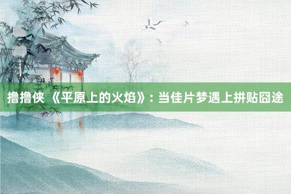撸撸侠 《平原上的火焰》: 当佳片梦遇上拼贴囧途