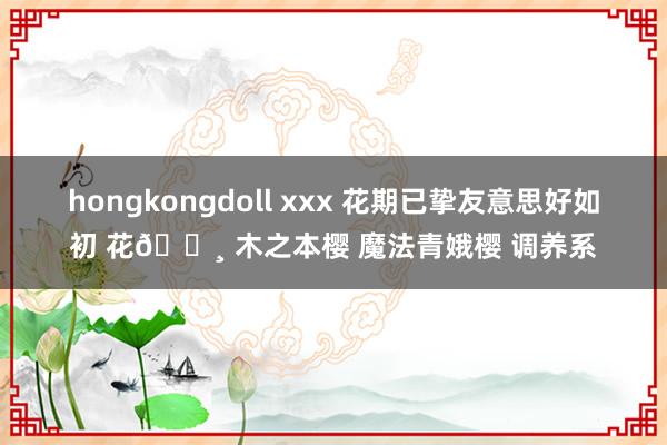 hongkongdoll xxx 花期已挚友意思好如初 花🌸 木之本樱 魔法青娥樱 调养系
