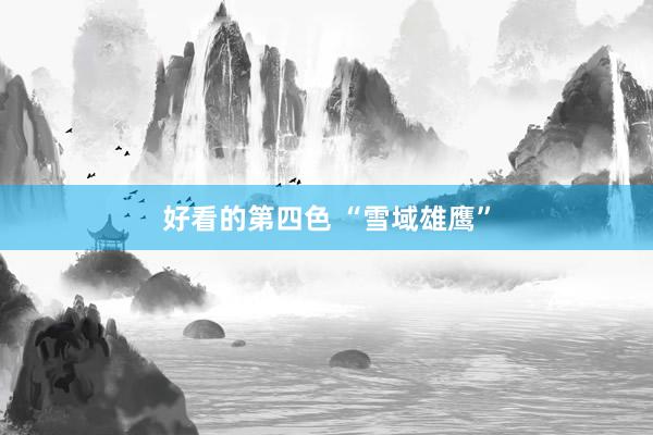 好看的第四色 “雪域雄鹰”