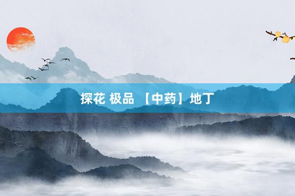 探花 极品 【中药】地丁