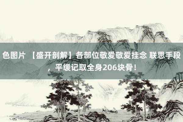 色图片 【盛开剖解】各部位敬爱敬爱挂念 联思手段，平缓记取全身206块骨！